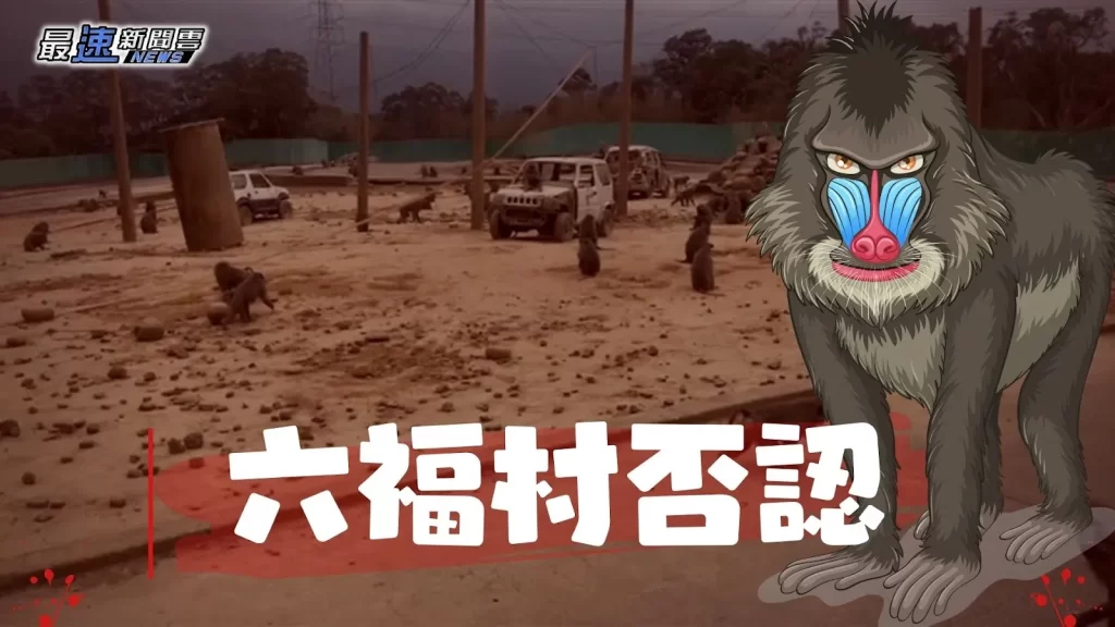 狒狒逃脫